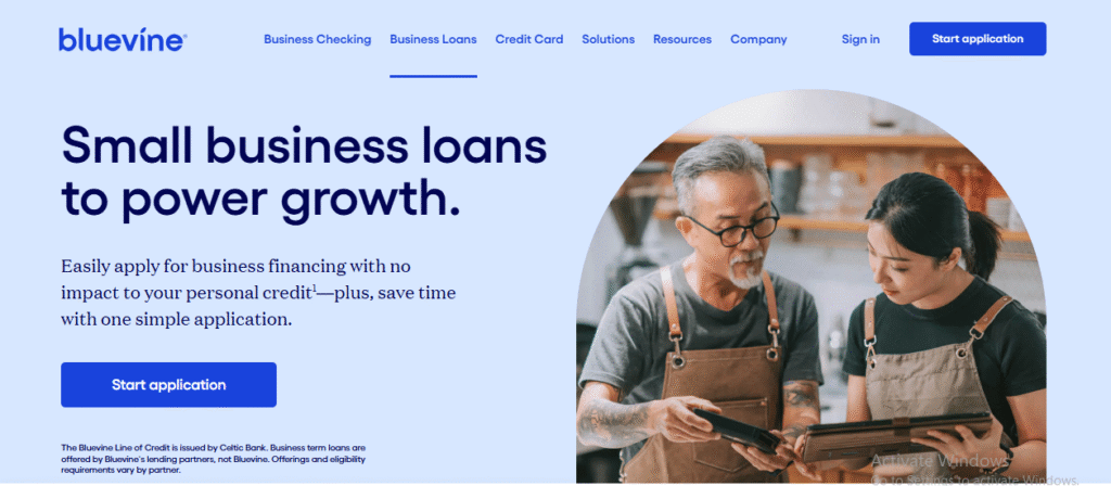 Bluevine Loans